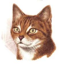 Каталог деколей · образец 14