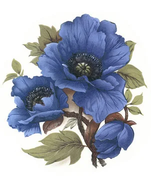 Каталог деколей · образец 6832 BLUE.970